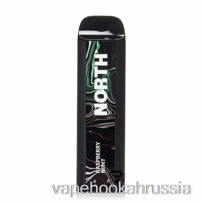 Vape Juice North 5000 одноразовый с малиной и мятой